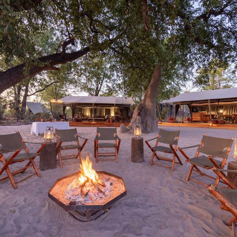 Selinda Explorers Camp- 14
