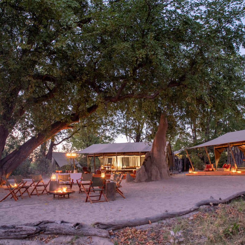 Selinda Explorers Camp- 17