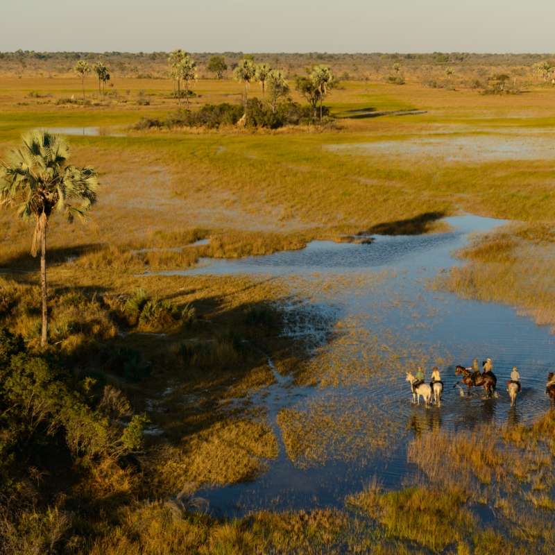 Okavango Delta - Wild Botswana Riding Safari