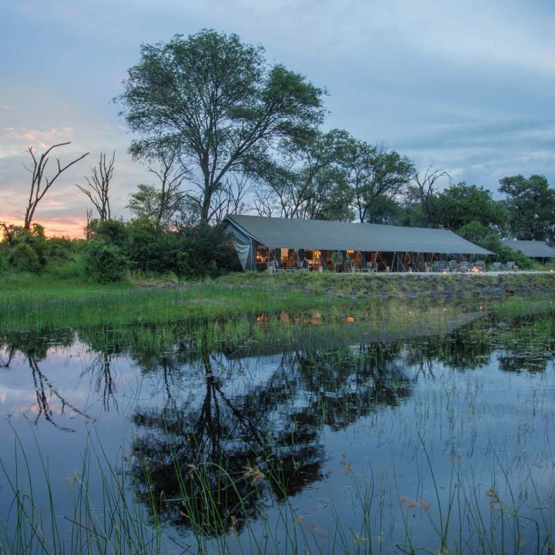 Gomoti Plains Camp 