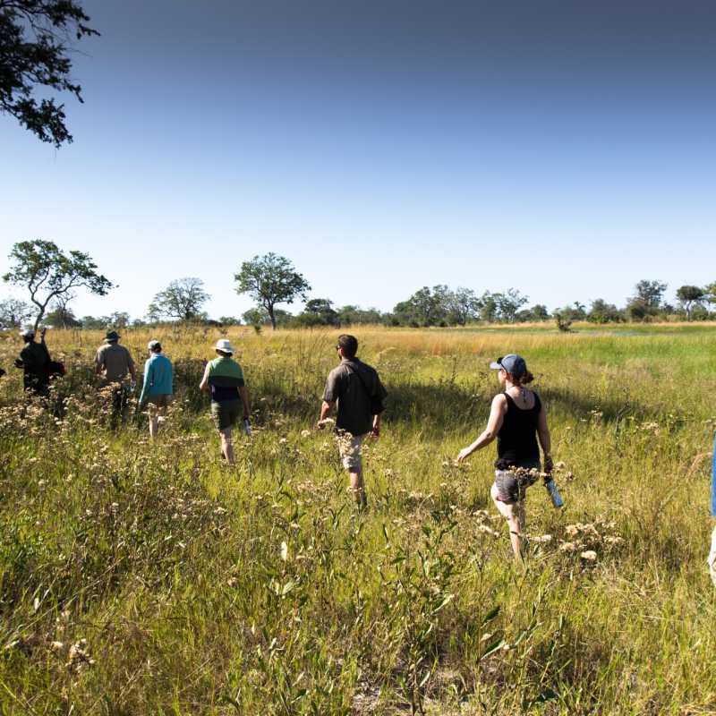 Bush walk in Selinda - Botswana for Teenagers