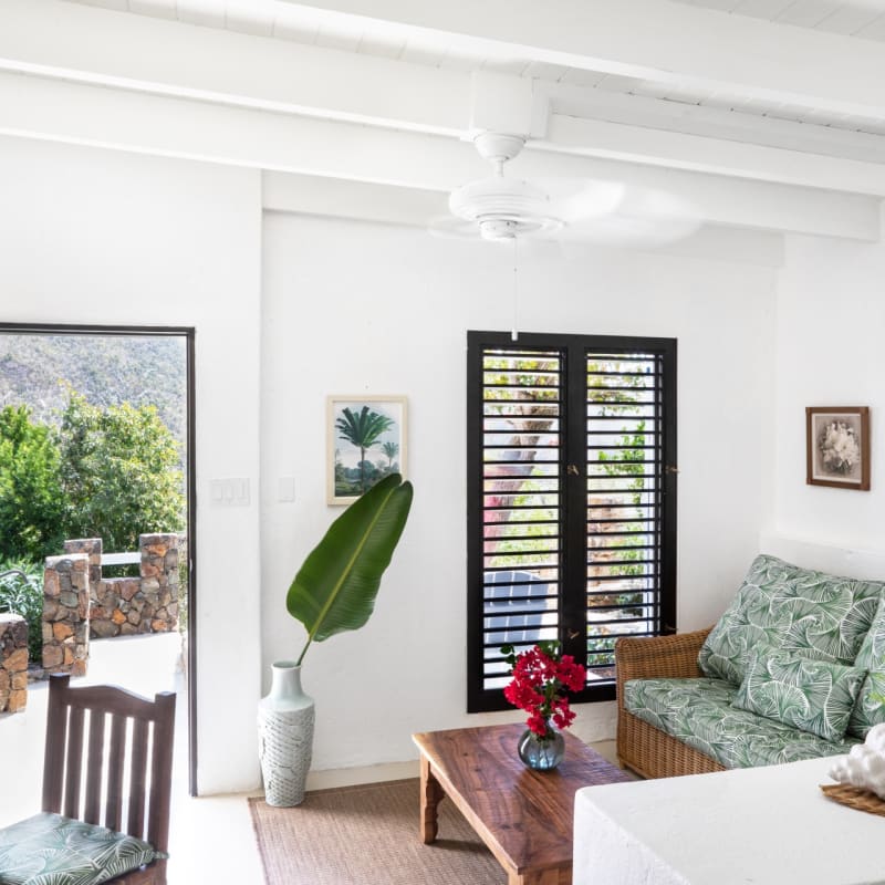 Guana Island  