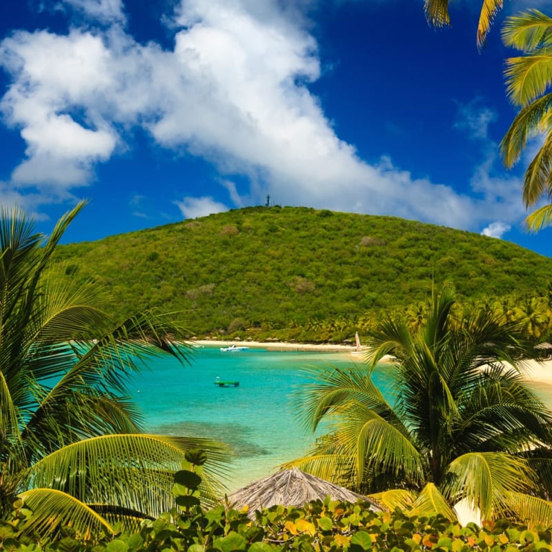 Beach - Luxury Yacht Charter British Virgin Islands