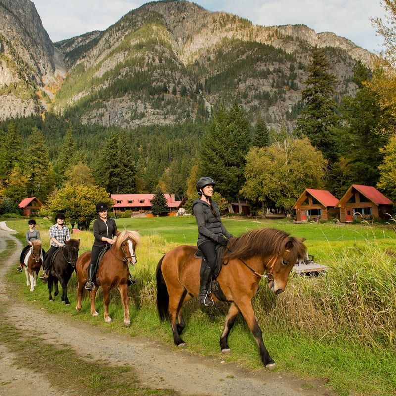 Horse Riding  
