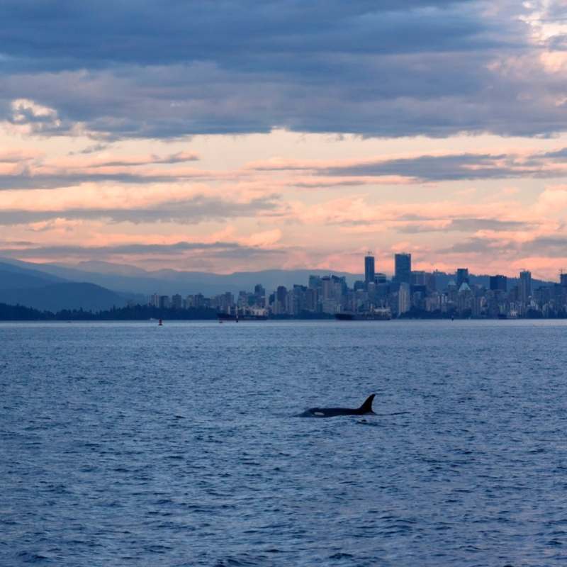 Vancouver - British Columbia with Kids 
