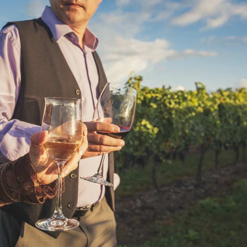 Wine Tastings - Gourmet Ontario and Quebec 