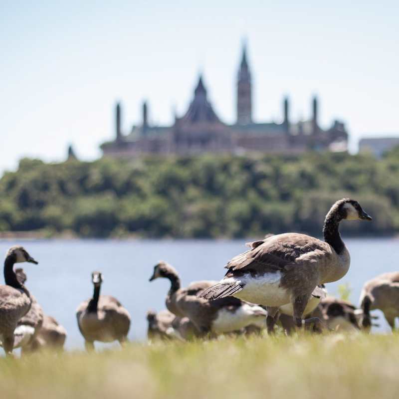 Ottawa - Gourmet Ontario and Quebec 