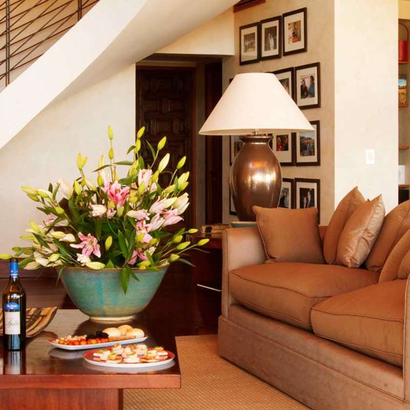 Clos Apalta Residence- 13