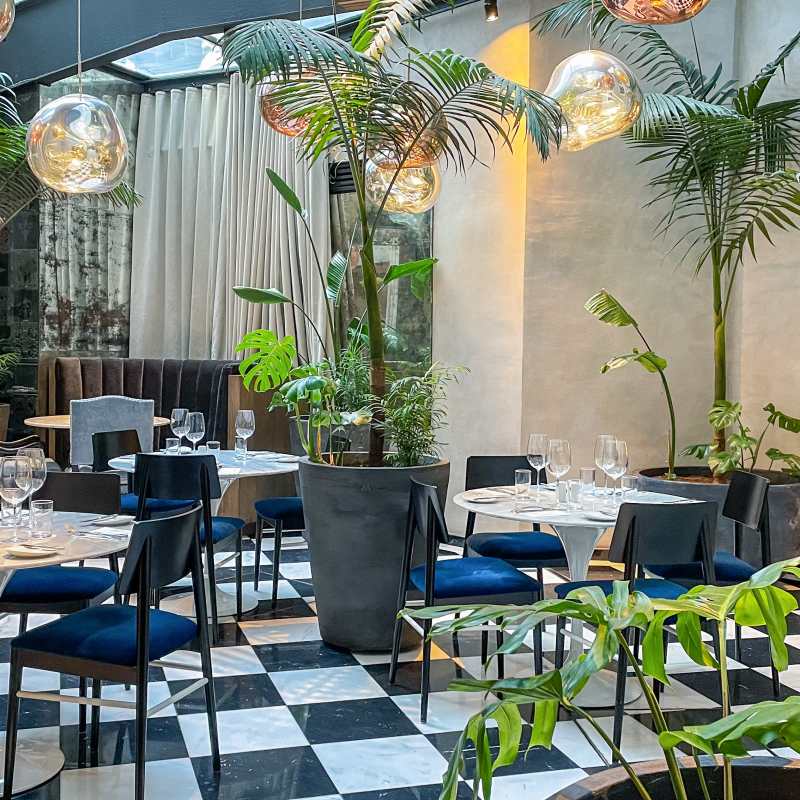 Hotel Magnolia- 7
