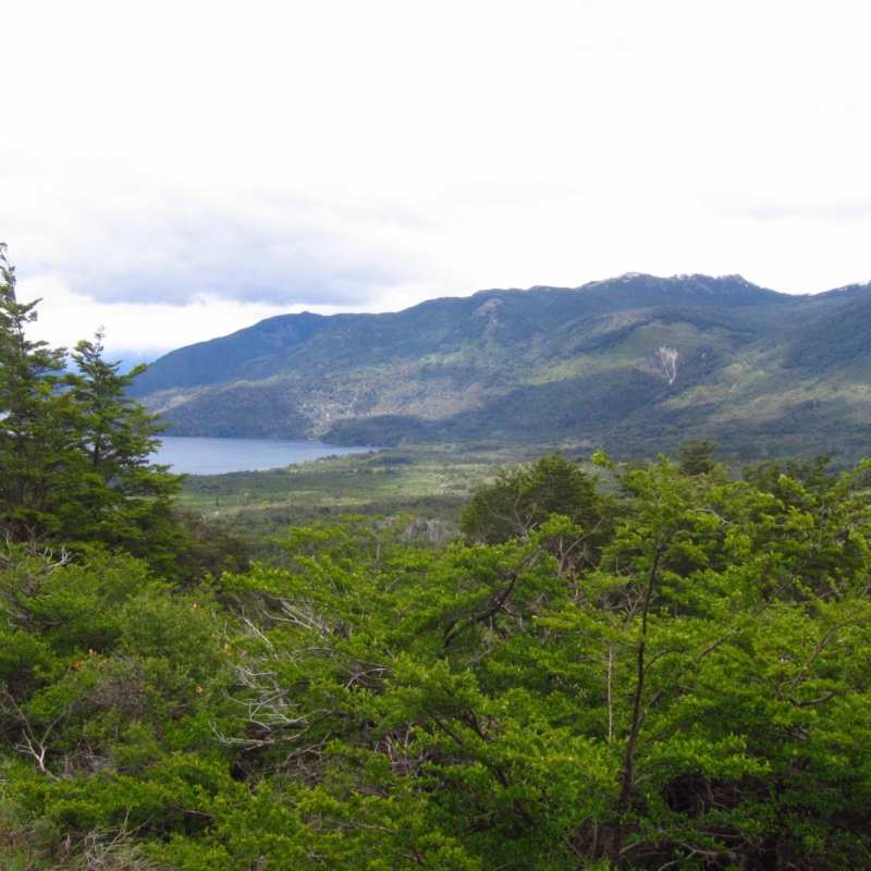  Bariloche  - Chile and Argentina via the Lakes