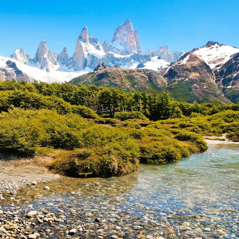 Chile Uncovered 