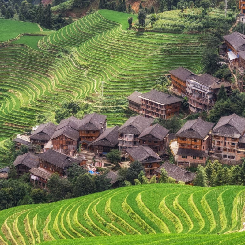 Longsheng 
