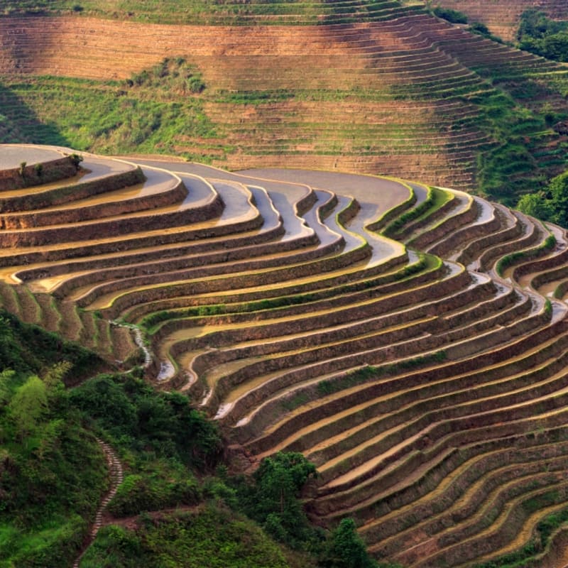 Longsheng 
