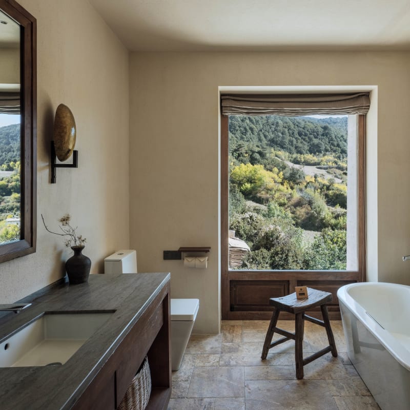 Mountain View Room  
