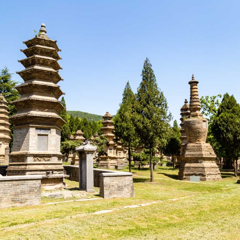 Pagoda Forest Shaolin Temple 