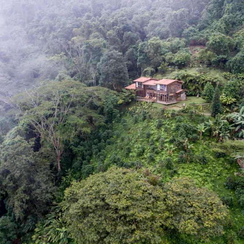 Casa Oropendola- 13