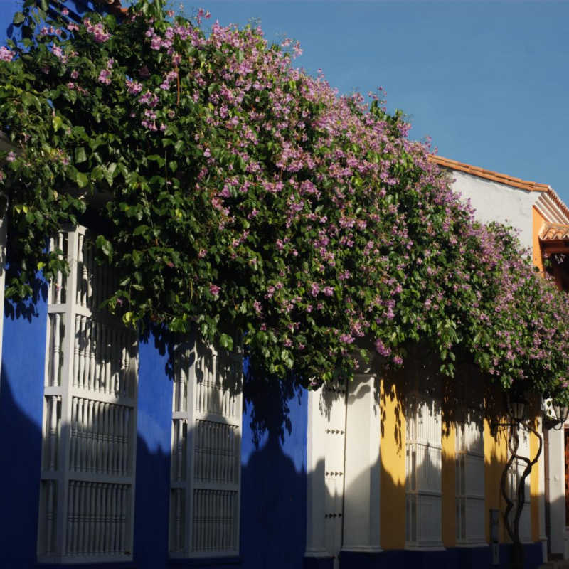 Cartagena - Highlights of Colombia