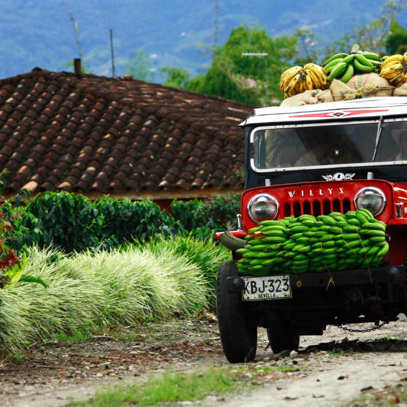 Truck carrying bananas - Original Colombia