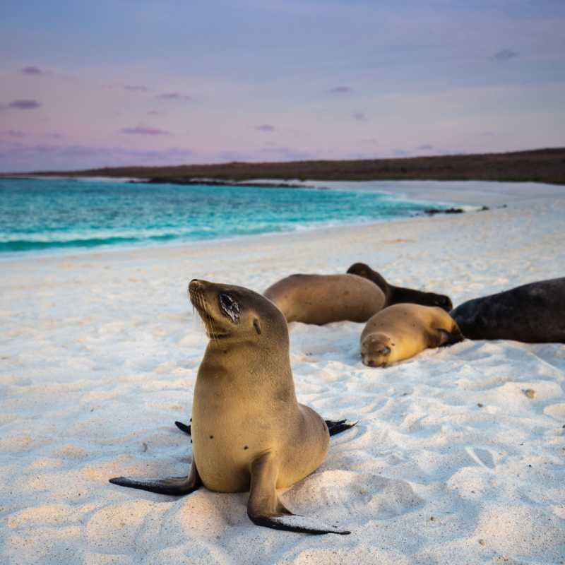 Ultimate Colombia and Galapagos 