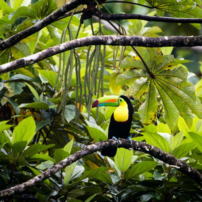 Costa Rica with Kids 