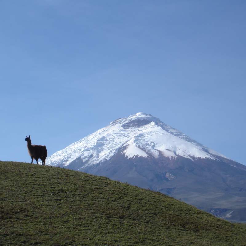 Chilcabamba Lodge- 43