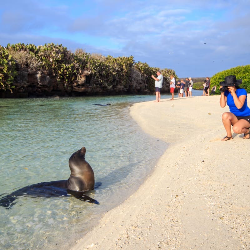 Galapagos Wildlife 