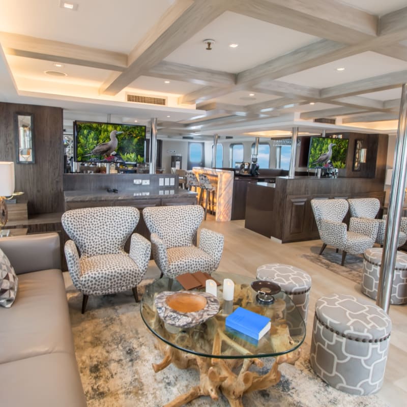 Main Lounge    