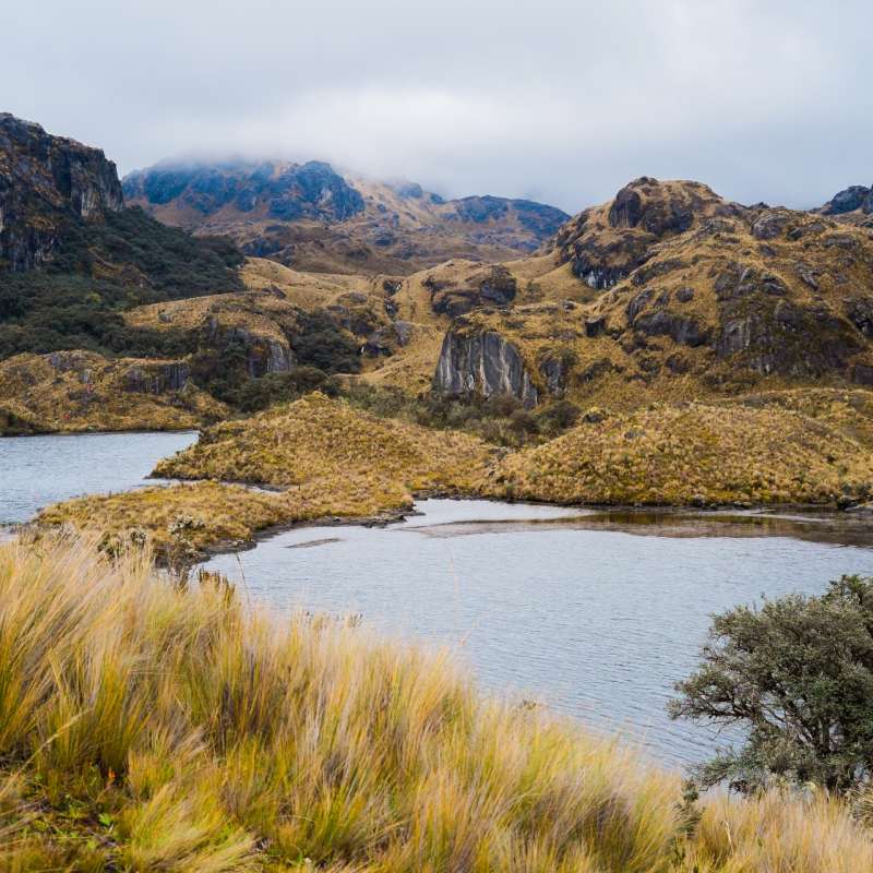 Cajas National Park 