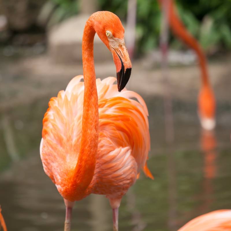 Epic Ecuador and Galapagos 