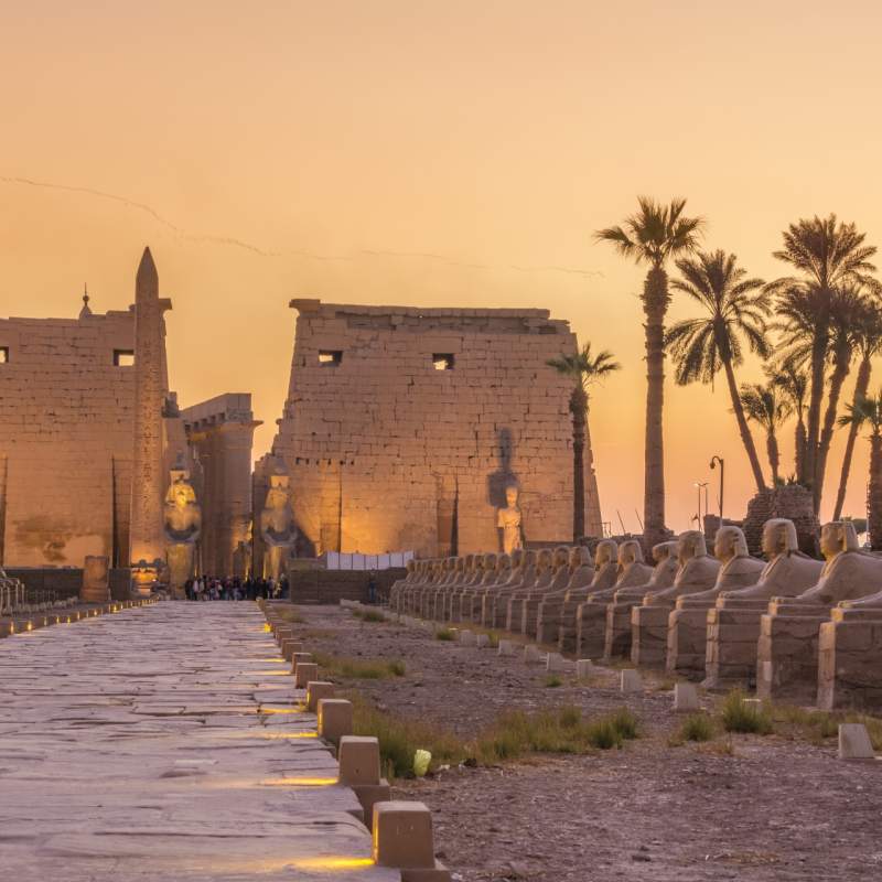 Avenue of the Sphinx  