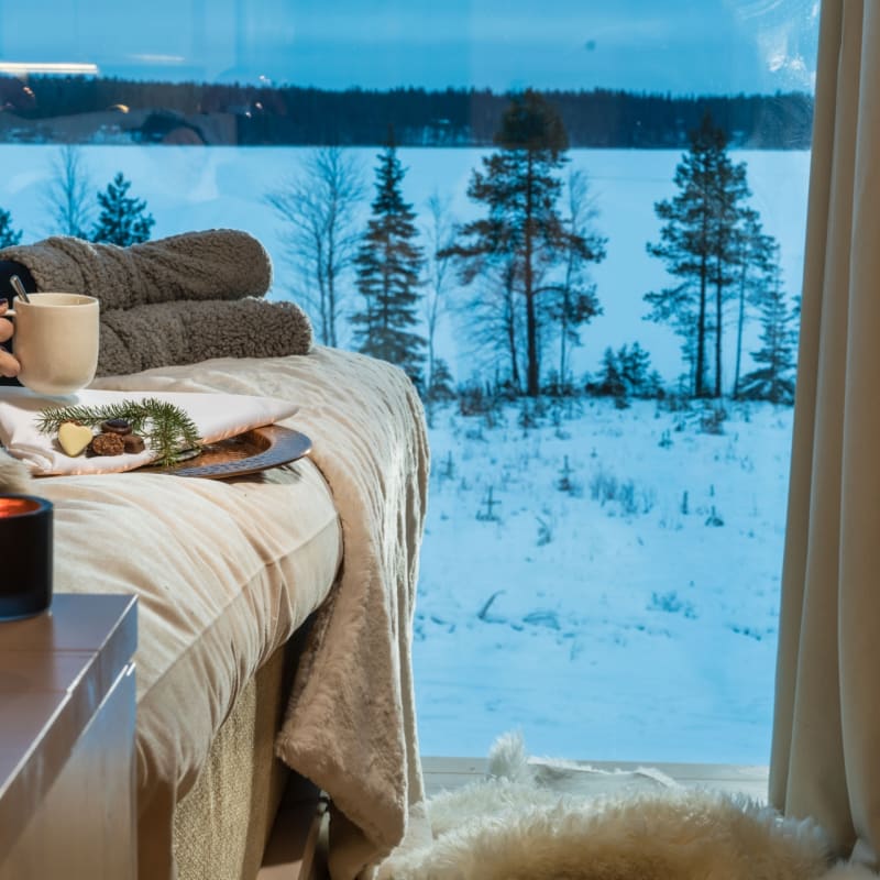 View - Arctic Treehouse Hotel