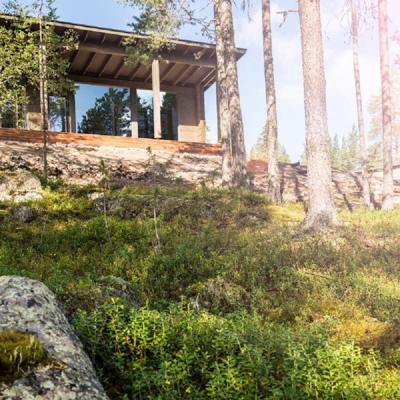 Glass House - Arctic Treehouse Hotel