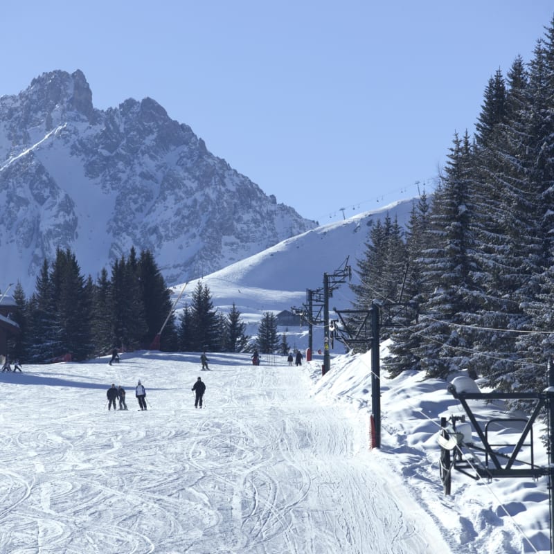 Skiing 