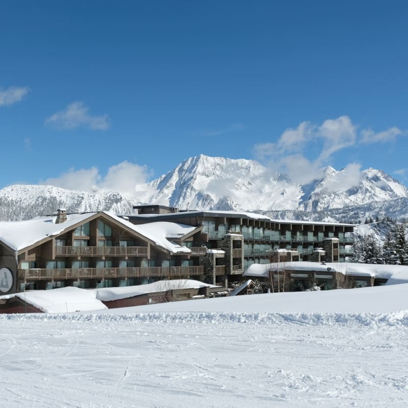 Annapurna Hotel 