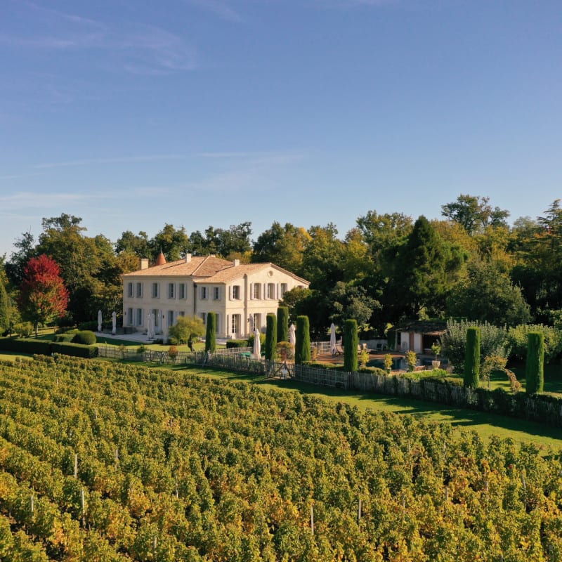 Chateau Troplong Mondot - vue drone 