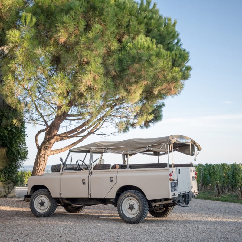 Defender et vignes  