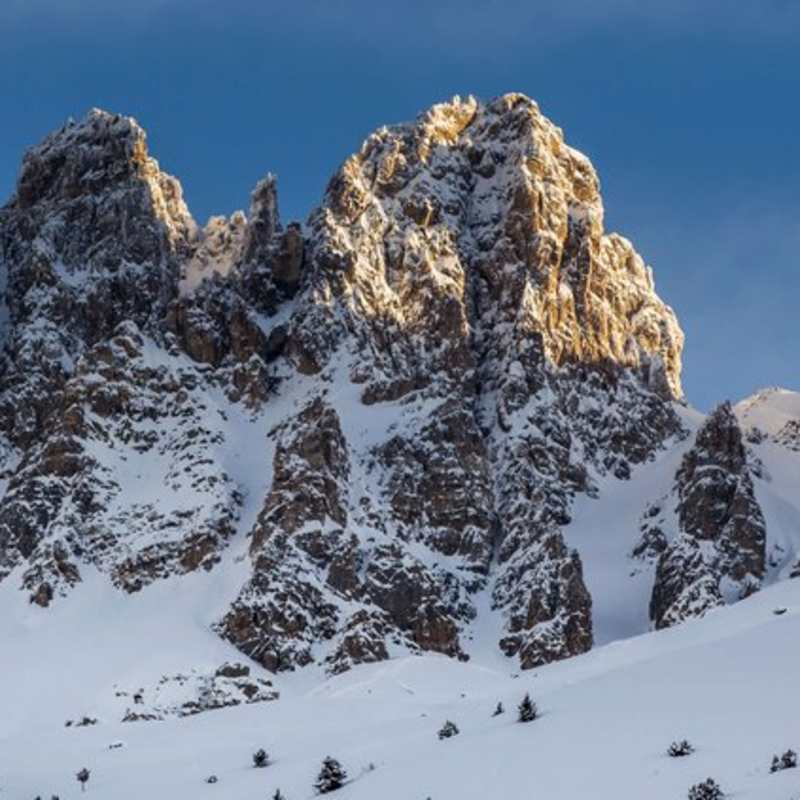 Alpen Ruitor- 8