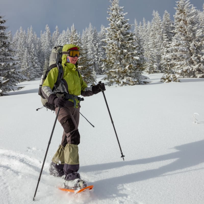 Snowshoeing - Chamonix 