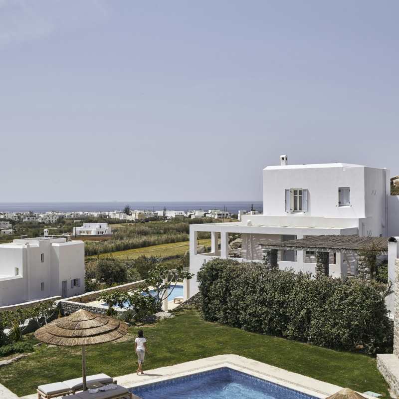 Naxian Collection- 14