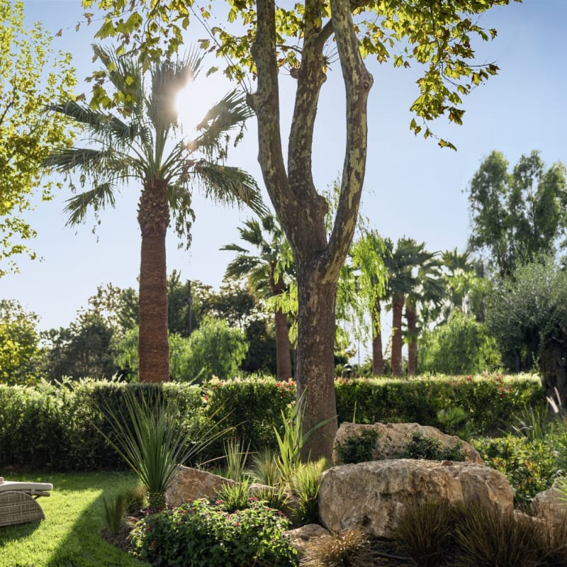 Private Terrace  Garden  
