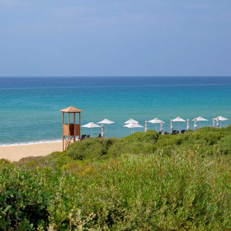 Costa Romanos - Athens and the Ionian