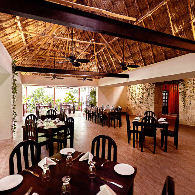 Jungle Lodge- 6