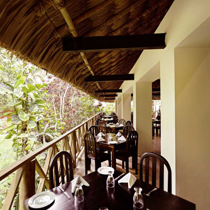 Jungle Lodge- 8