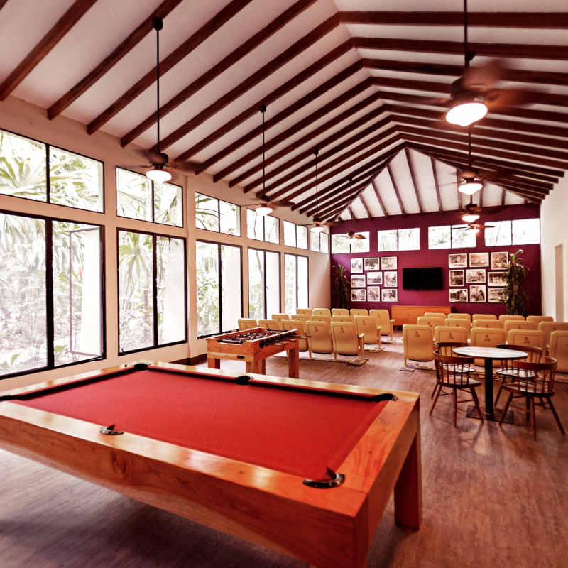 Jungle Lodge- 9
