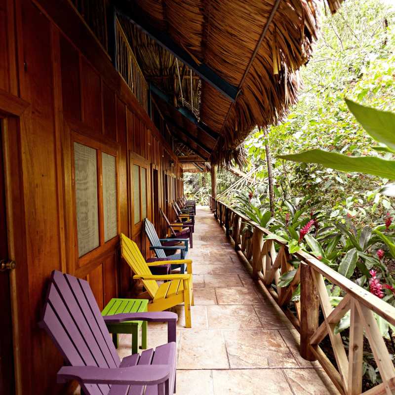 Jungle Lodge- 10