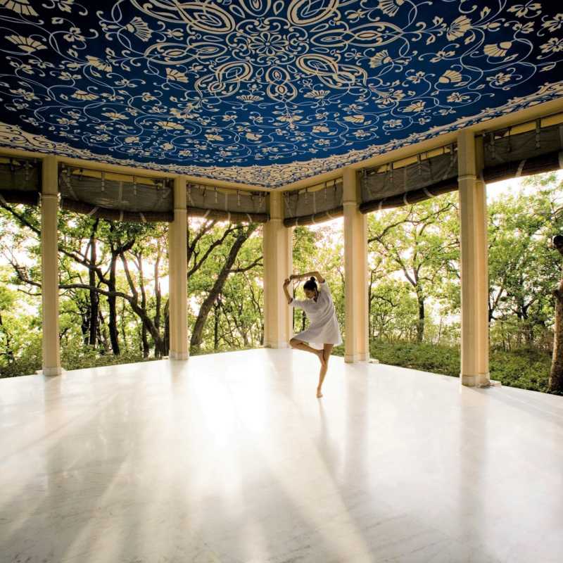 Yoga Space - Ananda in the Himalayas  