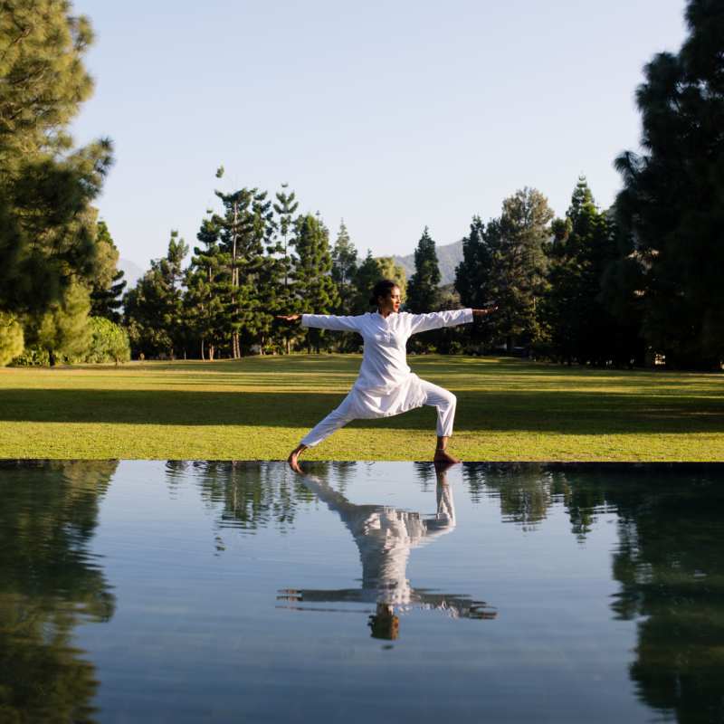 Yoga - Ananda in the Himalayas 