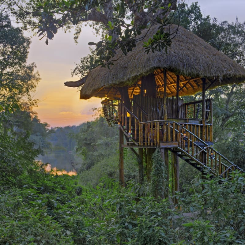 Treehouse - Evolve Back Chikkana Halli Estate