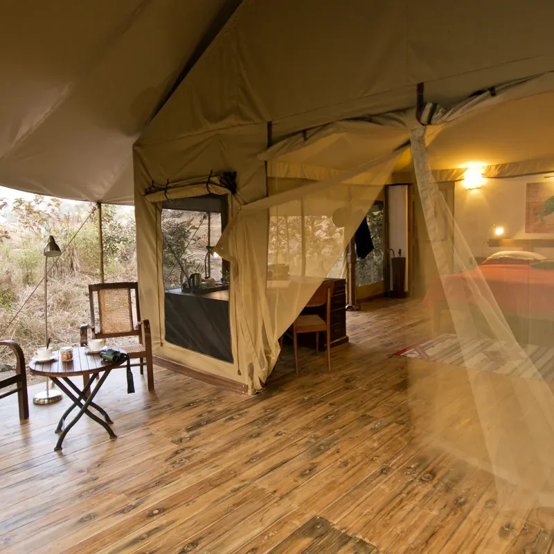 Jamtara Wilderness Camp- 18