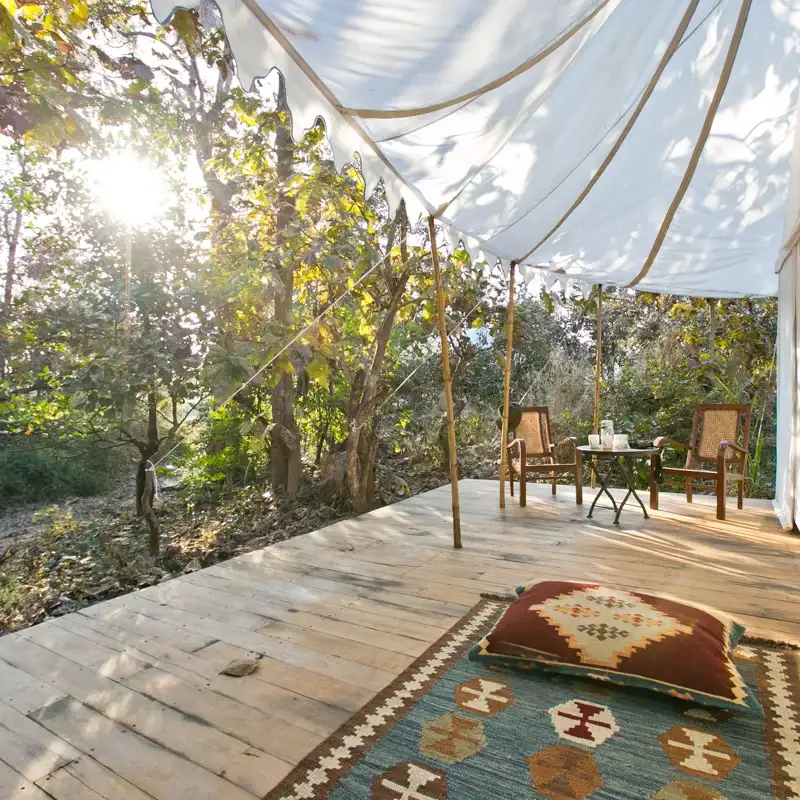 Jamtara Wilderness Camp- 17